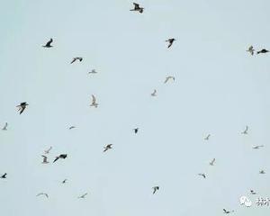 林木森夕，木森网络 从传统到数字化的品牌蜕变