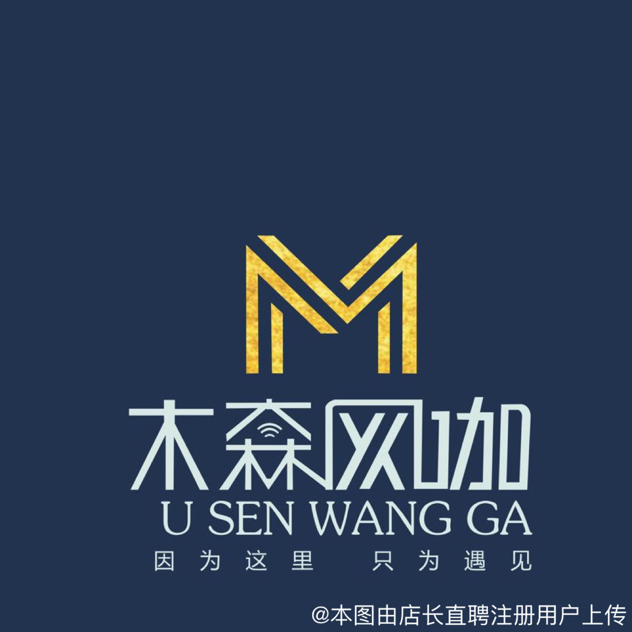 宜昌木森网络科技 以技术赋能未来，打造数字服务新标杆